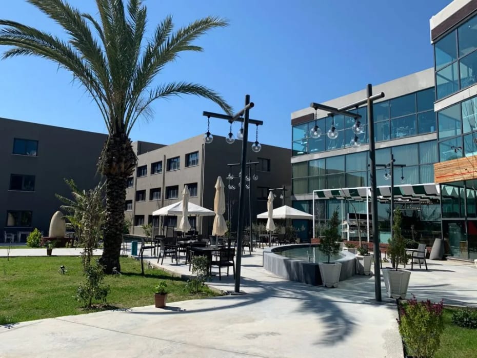 Cyprus Science University