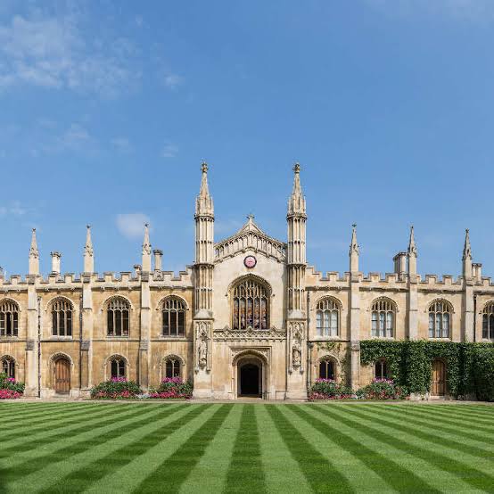 University of Economics and Culture